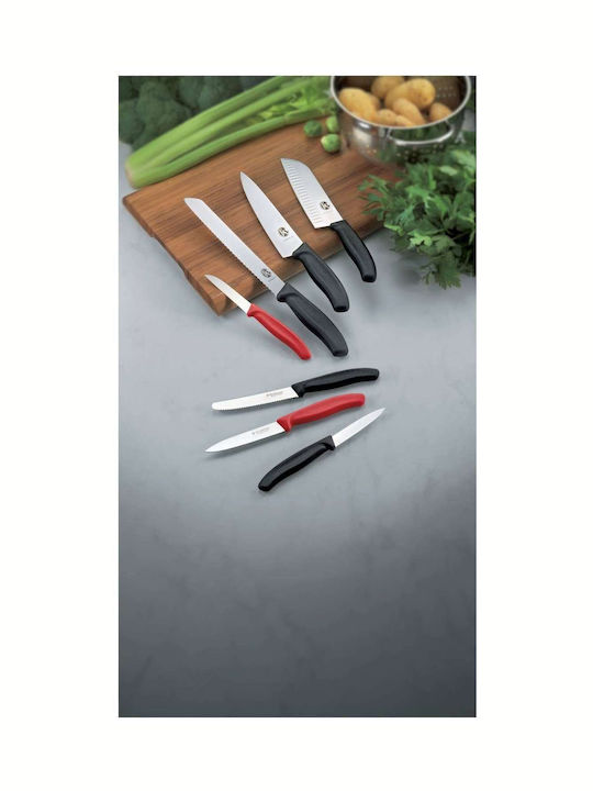 Victorinox Swiss Classic Knife General Use from Stainless Steel 8cm