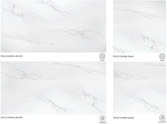 Winasa Ceramica Polo Carrara Placă Interior din Granit Lucios 60x60cm Alb