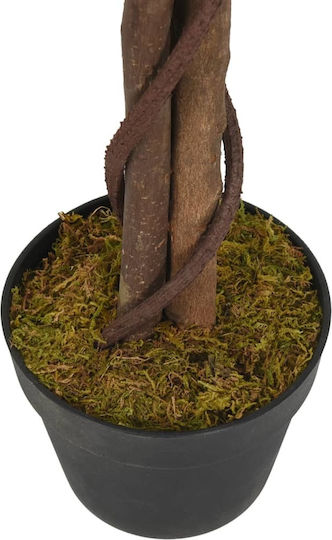 Fikus in Topfpflanze 80cm vidaXL