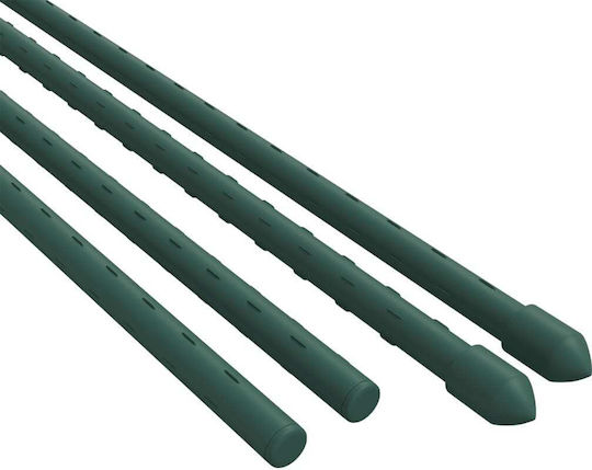 vidaXL Βέργες Στήριξης Φυτών 11mmx150cm από Ατσάλι Σετ 30τμχ