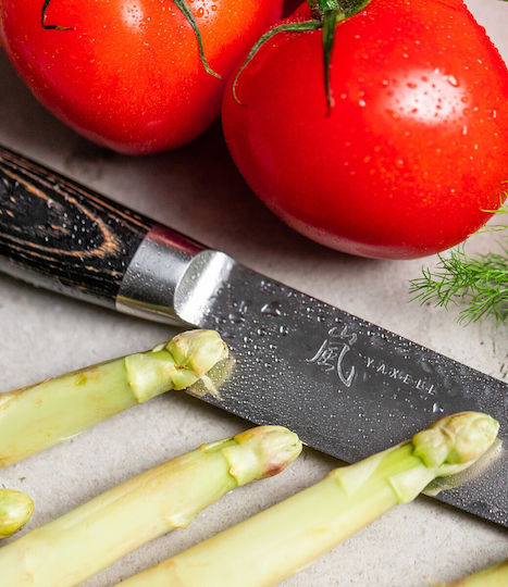 Yaxell Ketu Messer Fleisch aus rostfreiem Stahl 23cm