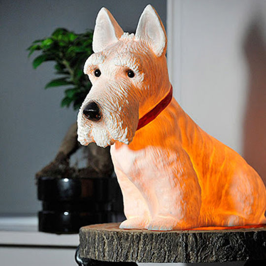 Led Kids Decorative Lamp