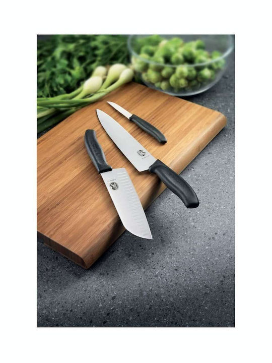 Victorinox Swiss Classic Messer Fleisch aus rostfreiem Stahl 22cm
