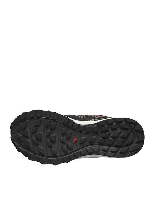 Salomon Wander Gtx Women's Waterproof Hiking Shoes With Gore-Tex Membrane Pink