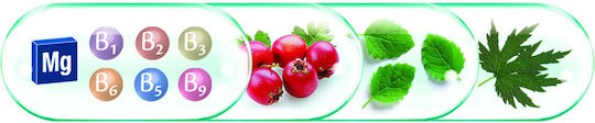 Rotta Natura Fitocardin Forte Cu Vitamina B6 30 Capsule