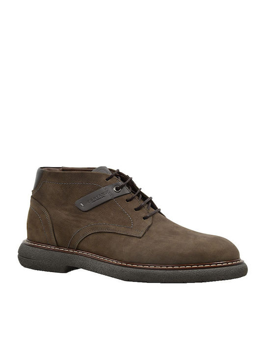 Damiani