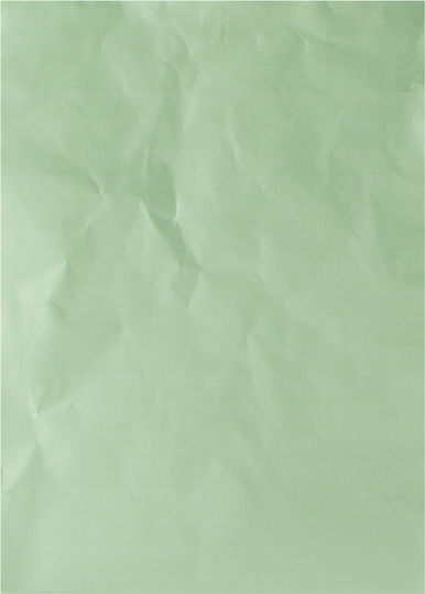 Aluminum Leaf 17x12.5cm