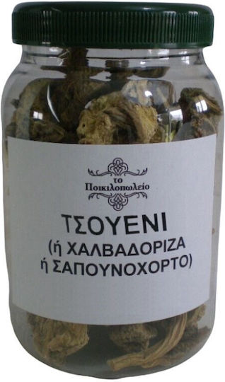 Τσουένι Ή Χαλβαδόριζα Ή Σαπουνόχορτο Ή Σαπωνάρια Ρίζα 250 Γρ