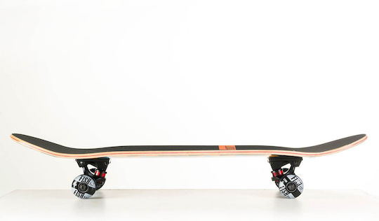 SCK Complete Shortboard Πολύχρωμο