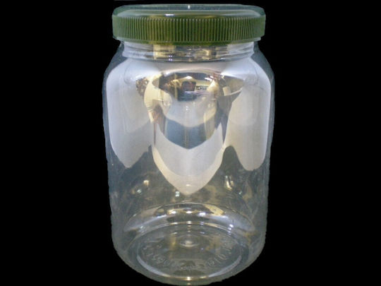 Βάζα Pet 10 Τεμ 250 Ml