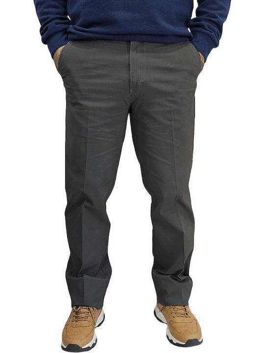 Hose Chino Olive