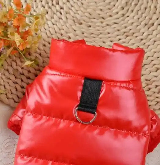 Silver Dog Coat