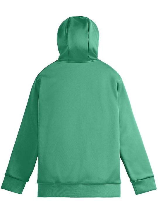 Picture Organic Clothing Men's Sweatshirt Jacket with Hood and Pockets Green