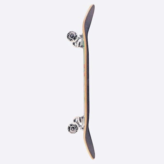 DGK Scribble Complete Shortboard 8.25" Red