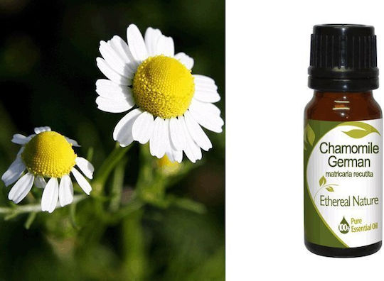 Nature & Body Ulei Esențial Mușețel 10ml