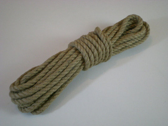 Schnürsenkel