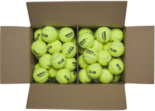 Wilson Triniti Club Tennisbälle Tennis Praxis 1Stück