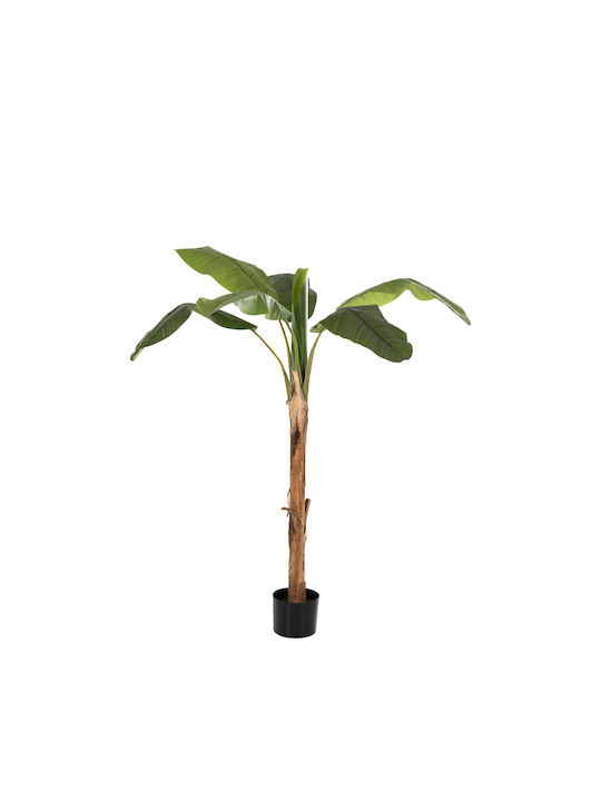 Künstliche Pflanze im Töpfchen Musa Grün 17cm HomeMarkt