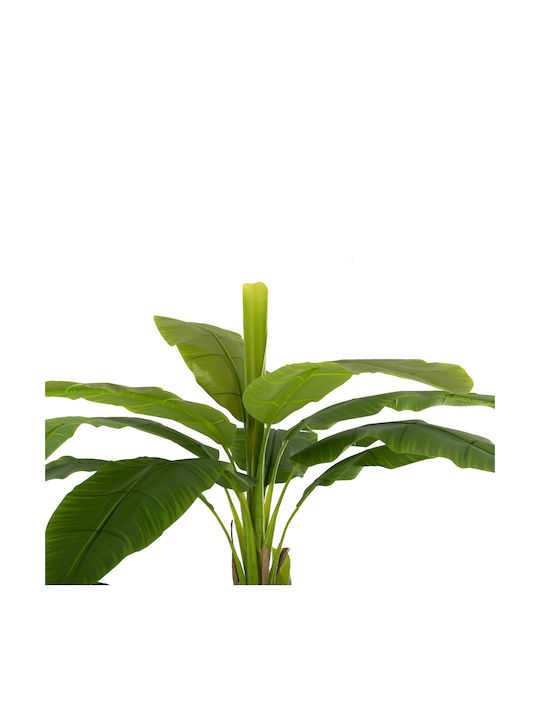 Künstliche Pflanze im Töpfchen Musa Grün 17cm HomeMarkt