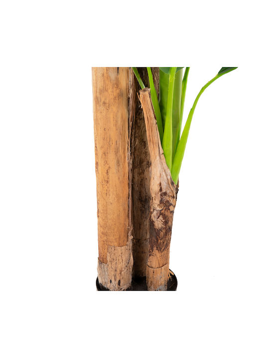 Künstliche Pflanze im Töpfchen Musa Grün 17cm HomeMarkt