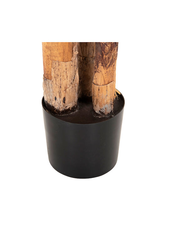 Künstliche Pflanze im Töpfchen Musa Grün 17cm HomeMarkt