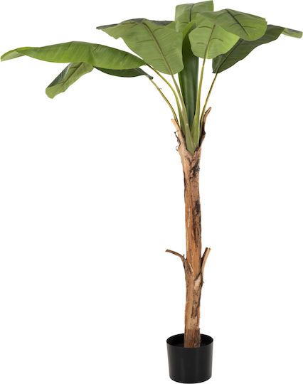 Plantă Artificială în Ghiveci Musa Green 180cm HomeMarkt