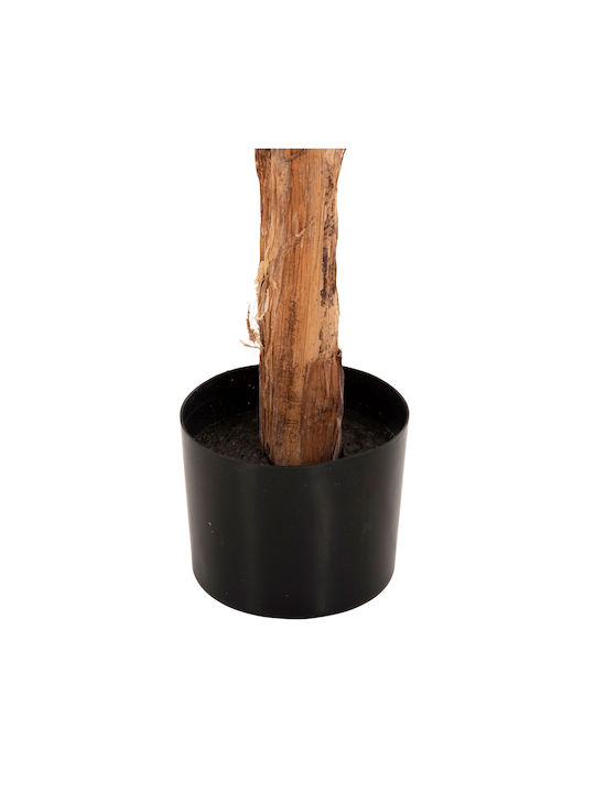 Μπανανιά σε Γλάστρα 180cm HomeMarkt