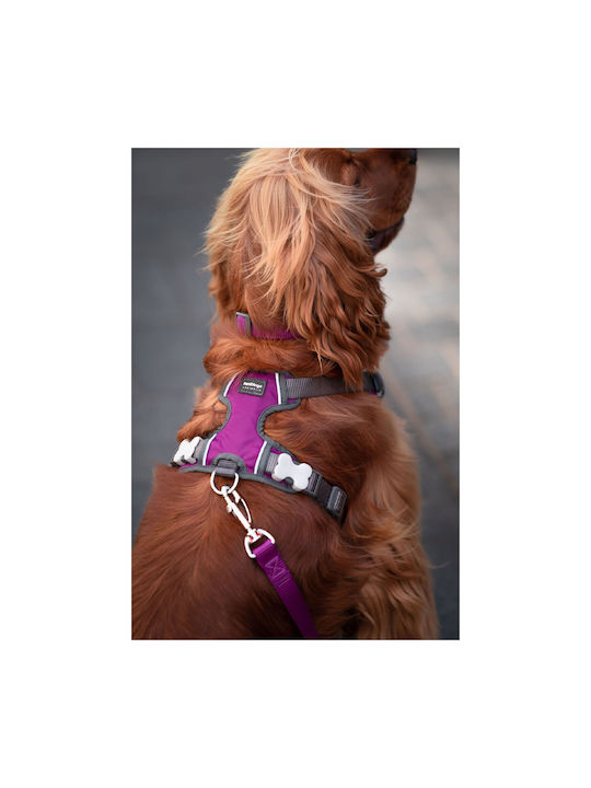 Reddingo Dog Harness Purple Medium 7598301