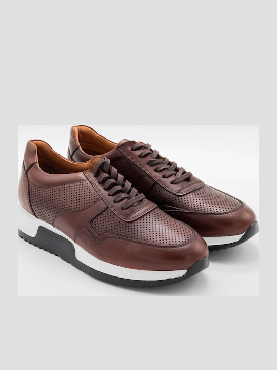 Anatomical Sneakers Tabac Brown