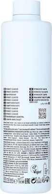 Authentic Beauty Concept Hydrate Shampoos Feuchtigkeit für Trockenes Haar 1x300ml