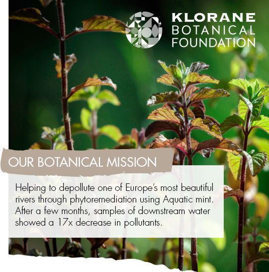 Klorane Aquatic Mint Σαμπουάν Βαθύ Καθαρισμού για Όλους τους Τύπους Μαλλιών 400ml
