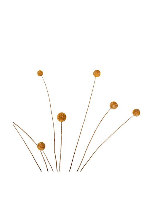 Getrocknete Pflanze Gelb 63cm HomeMarkt
