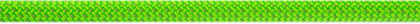 Beal Virus Standard Kletterseil mit Länge 80m Grün