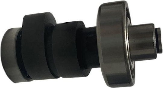 Roc 117795