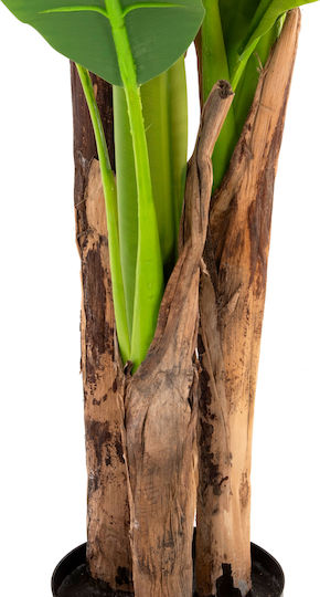 Plantă Artificială în Ghiveci Mic Musa Green 17cm Freebox
