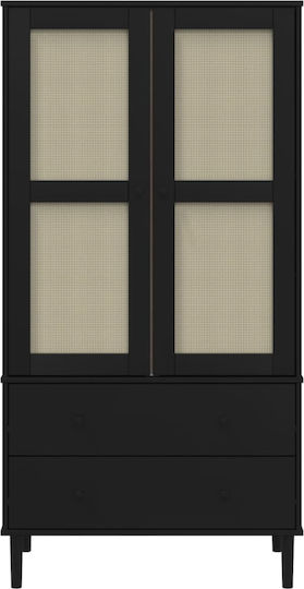 Δίφυλλη Ντουλάπα με Καθρέπτη Μαύρο 90x55x175cm