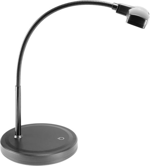 Adam Hall Stand Clip Lights A16AH006