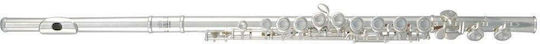 Roy Benson Fl-402e Flaut