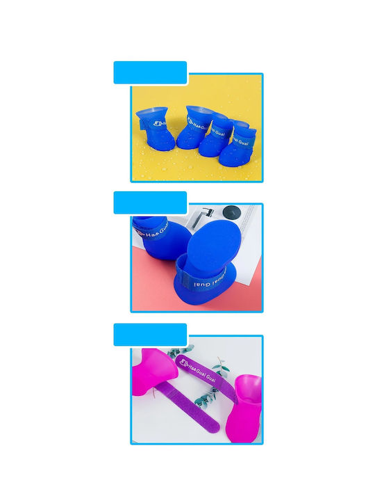 Shoes Dog in Blue Color Shoes Dog in Blue Color