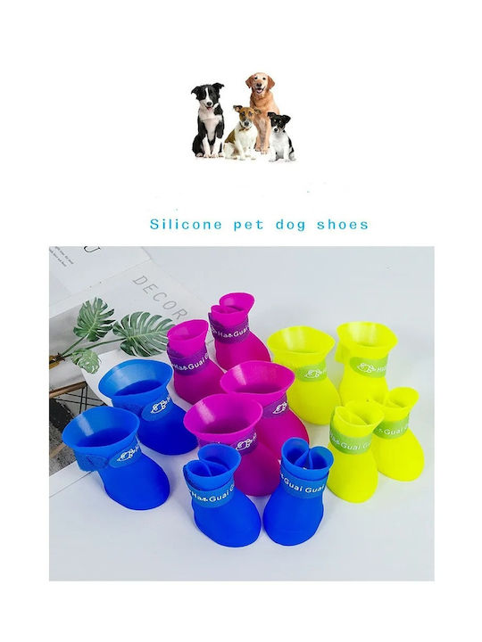 Shoes Dog in Blue Color