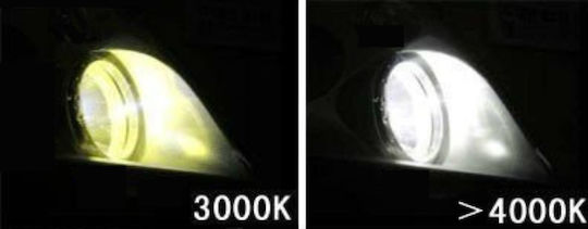 Moto Discovery Λάμπα Αυτοκινήτου & Μοτοσυκλέτας H4 Xenon 4000K Φυσικό Λευκό 12V 1τμχ