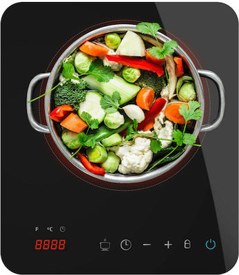 Cecotec Full Induction Countertop Single Burner Black