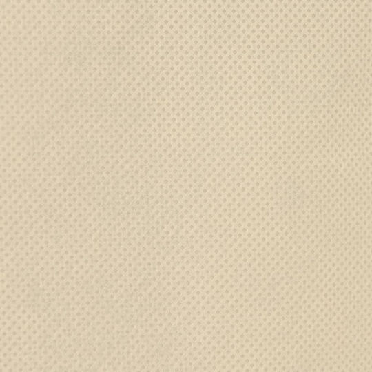 vidaXL 364882 Αντιπαγετική Κουκούλα 70gr/m² 3.5x3.93m Μπεζ