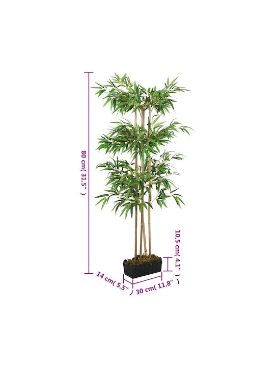 Μπαμπού σε Γλάστρα 80cm vidaXL