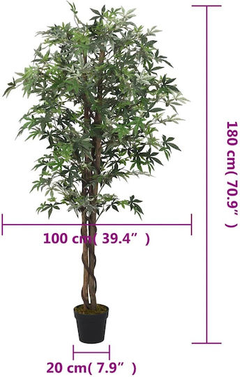 Σφένδαμος σε Γλάστρα 180cm vidaXL