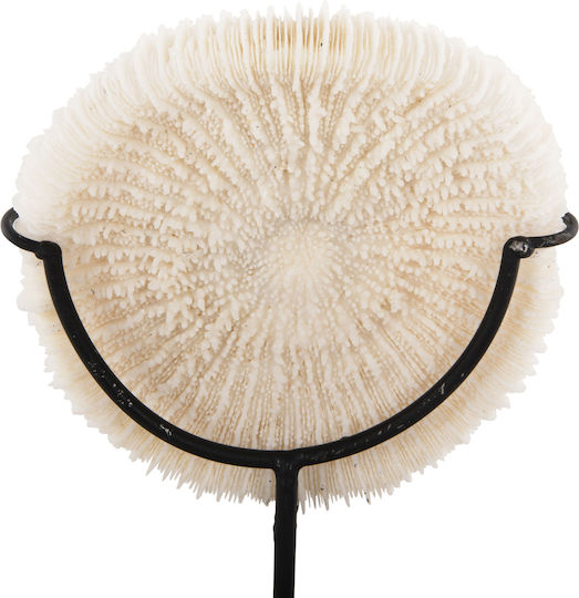 HomeMarkt Coral Decorative from Metal 8cm