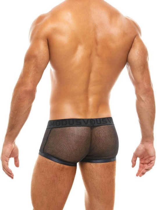 Modus Vivendi Modus Vivendi