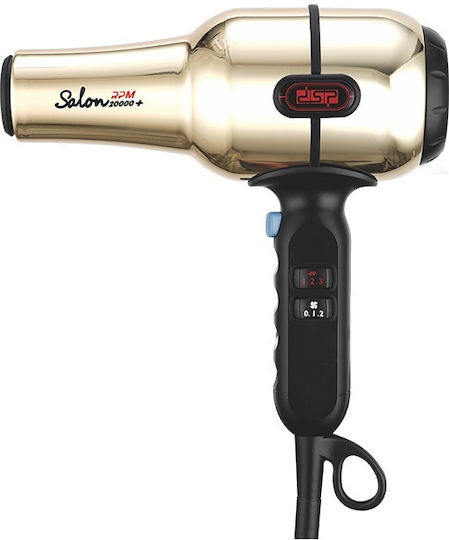 DSP Professional Hair Dryer with Diffuser 614559