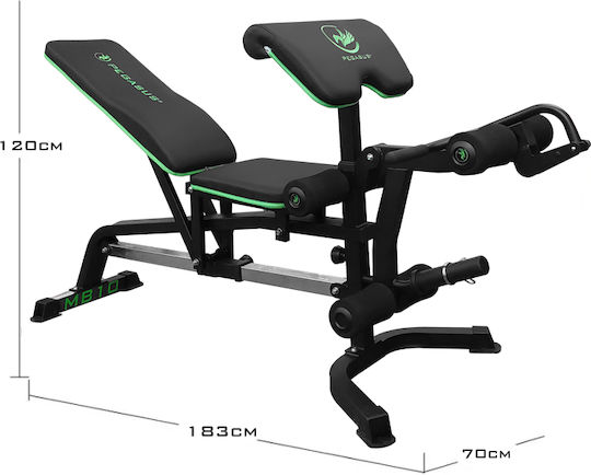 Pegasus MB10 Einstellbar Workout-Bank Bizeps