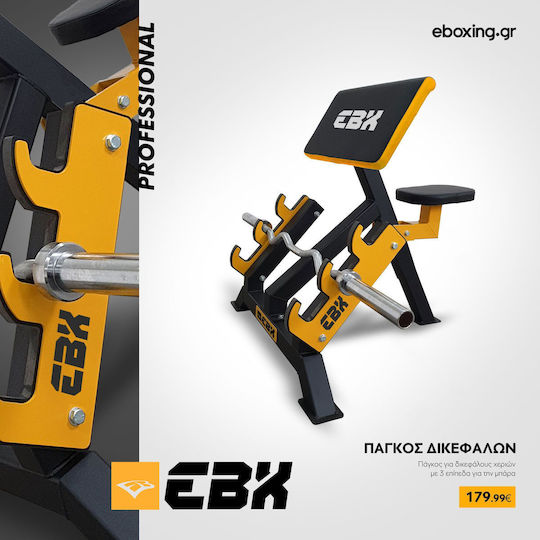 eBoxing Adjustable Workout Bench for Biceps